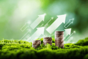 The Benefits of Institutional Investment
